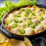 Graveyard Chicken Enchilada Dip