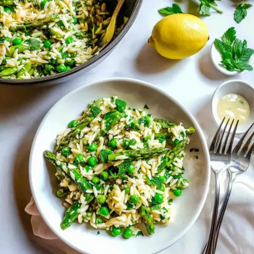 Cold Asparagus Orzo Salad